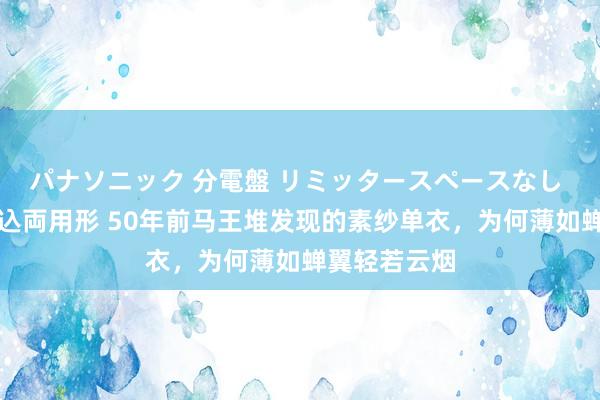パナソニック 分電盤 リミッタースペースなし 露出・半埋込両用形 50年前马王堆发现的素纱单衣，为何薄如蝉翼轻若云烟