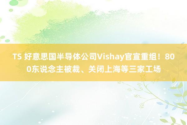 TS 好意思国半导体公司Vishay官宣重组!800东说念主被裁、关闭上海等三家工场