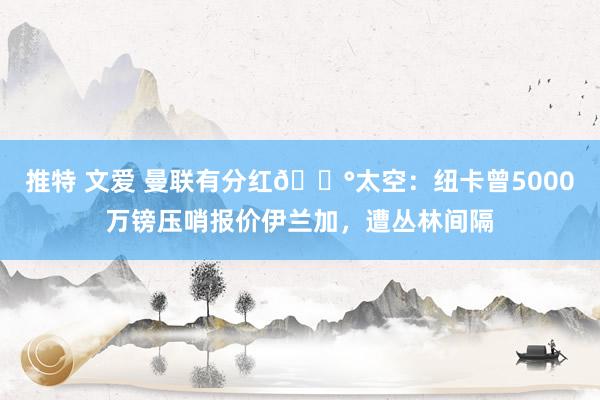 推特 文爱 曼联有分红💰太空:纽卡曾5000万镑压哨报价伊兰加,遭丛林间隔